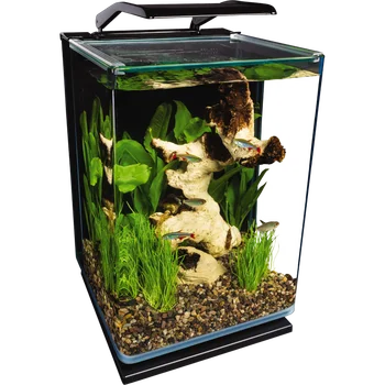 Набор для аквариума из светодиодного стекла с портретом, 5 галлонов, скрытая фильтрация