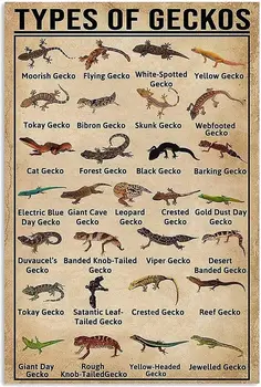 Металлическая жестяная вывеска Gecko Knowledge, Забавный плакат в виде Геккона, Школьное Образование, Клуб Рептилий, зоомагазин, Художественное Оформление стен для дома