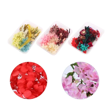 Комплект из 3 упаковок цветов, декор из гирлянд, сухоцветы, набор материалов для изготовления вручную